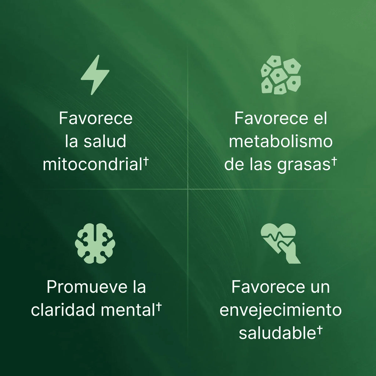 Cápsulas de Superfruta de Amla