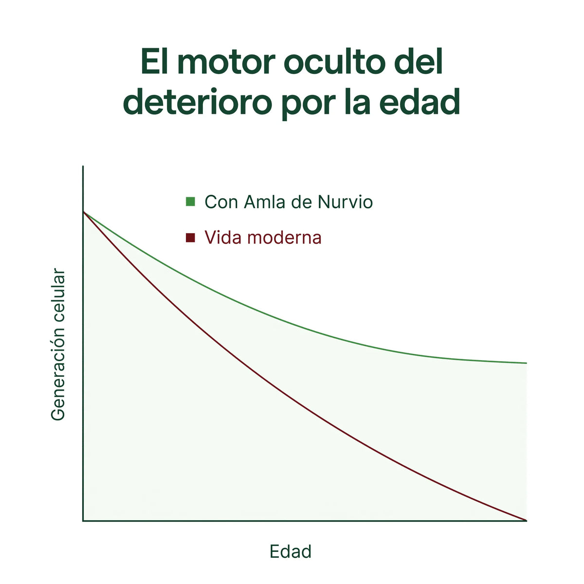 Cápsulas de Superfruta de Amla