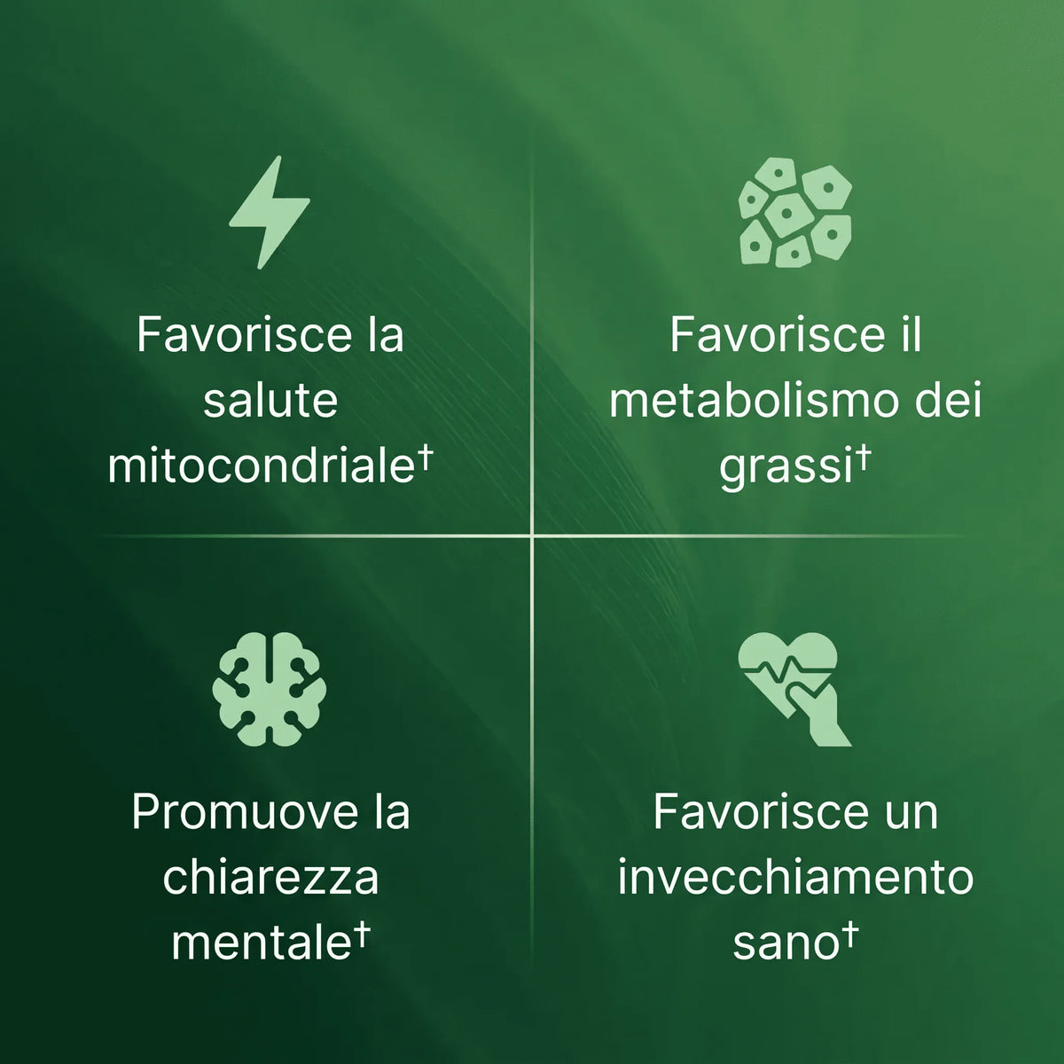 Capsule di Amla Superfrutto