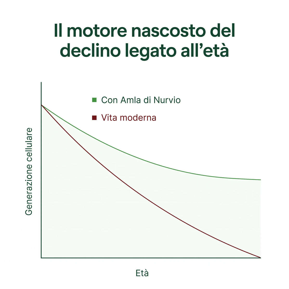 Capsule di Amla Superfrutto